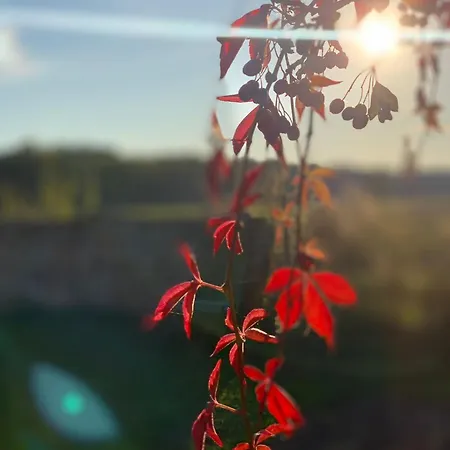 Vakantiehuis Lebuser Land Fuer Bis Zu 4 Personen Mit 1300 Qm Garten Und Privatsauna, Grandiosen Blick Ueber Oder, Sonntags Late Check Out Bis 18 Uhr Inklusive