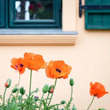 Lebuser Land Fuer Bis Zu 4 Personen Mit 1300 Qm Garten Und Privatsauna, Grandiosen Blick Ueber Oder, Sonntags Late Check Out Bis 18 Uhr Inklusive Vakantiehuis Lebus