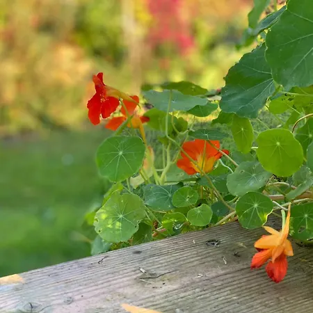 Vakantiehuis Lebuser Land Fuer Bis Zu 4 Personen Mit 1300 Qm Garten Und Privatsauna, Grandiosen Blick Ueber Oder, Sonntags Late Check Out Bis 18 Uhr Inklusive