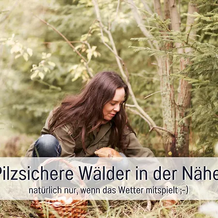 Lebuserland Fuer Bis Zu 4 Personen Mit 1300 Qm Garten Und Privatsauna, Grandiosen Blick Ueber Oder, Sonntags Late Check Out Bis 18 Uhr Inklusive Holiday home *