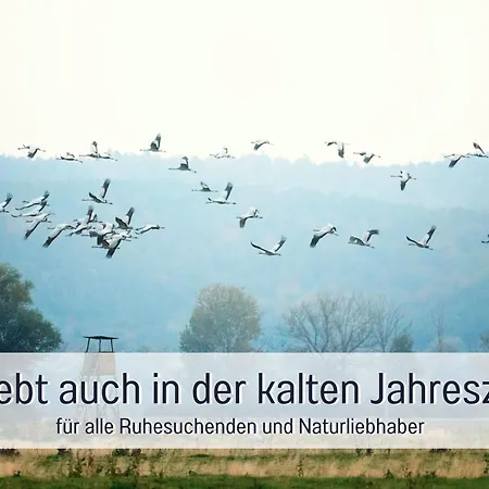 Lebuserland Fuer Bis Zu 4 Personen Mit 1300 Qm Garten Und Privatsauna, Grandiosen Blick Ueber Oder, Sonntags Late Check Out Bis 18 Uhr Inklusive Holiday home Lebus