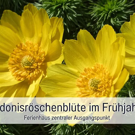Lebuserland Fuer Bis Zu 4 Personen Mit 1300 Qm Garten Und Privatsauna, Grandiosen Blick Ueber Oder, Sonntags Late Check Out Bis 18 Uhr Inklusive Holiday home