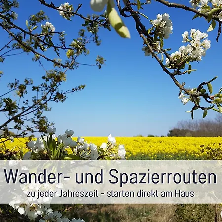Lebuserland Fuer Bis Zu 4 Personen Mit 1300 Qm Garten Und Privatsauna, Grandiosen Blick Ueber Oder, Sonntags Late Check Out Bis 18 Uhr Inklusive Holiday home Lebus