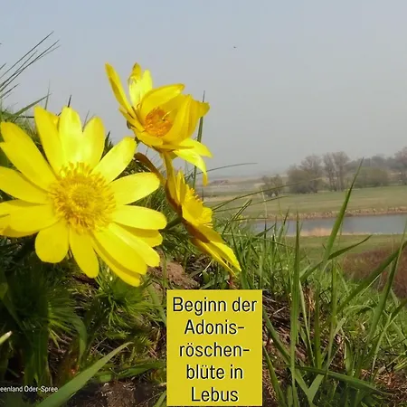 Lebuser Land Fuer Bis Zu 4 Personen Mit 1300 Qm Garten Und Privatsauna, Grandiosen Blick Ueber Oder, Sonntags Late Check Out Bis 18 Uhr Inklusive Vakantiehuis