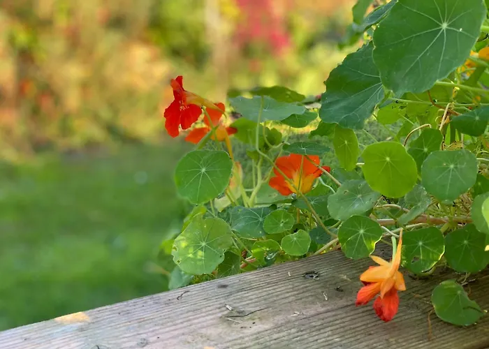 Semesterbostad Lebuser Land Fuer Bis Zu 4 Personen Mit 1300 Qm Garten Und Privatsauna, Grandiosen Blick Ueber Oder, Sonntags Late Check Out Bis 18 Uhr Inklusive