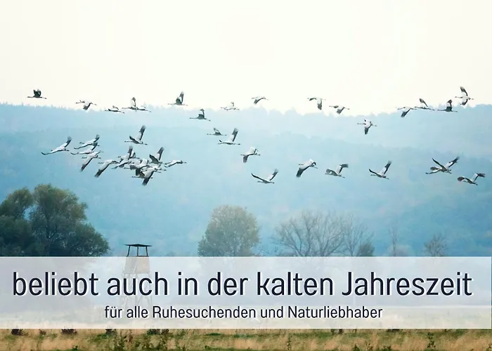 Lebuser Land Fuer Bis Zu 4 Personen Mit 1300 Qm Garten Und Privatsauna, Grandiosen Blick Ueber Oder, Sonntags Late Check Out Bis 18 Uhr Inklusive Semesterbostad Lebus