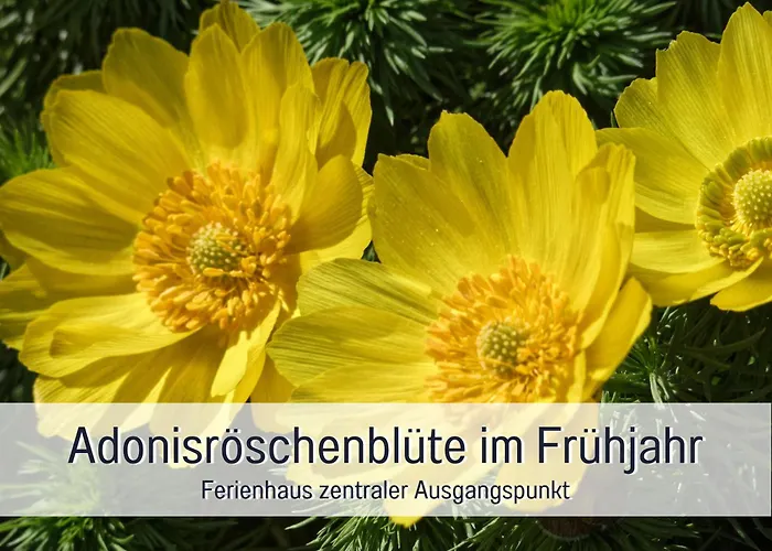 Lebuser Land Fuer Bis Zu 4 Personen Mit 1300 Qm Garten Und Privatsauna, Grandiosen Blick Ueber Oder, Sonntags Late Check Out Bis 18 Uhr Inklusive Semesterbostad